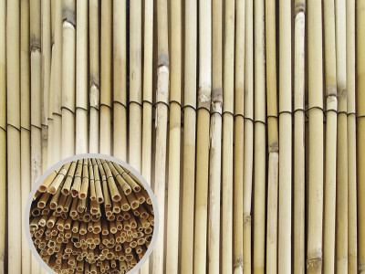 REEDPIL - rákosová rohož 1500/5m